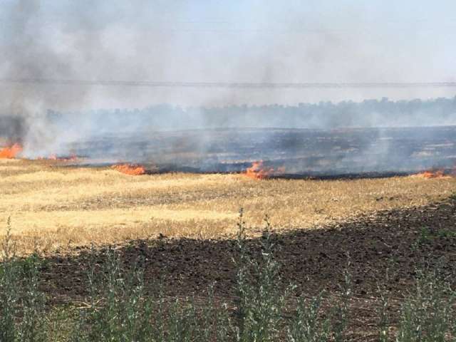 20:45. Повномасштабне воєнне вторгнення рф в Україну, 134 доба добігає кінця.