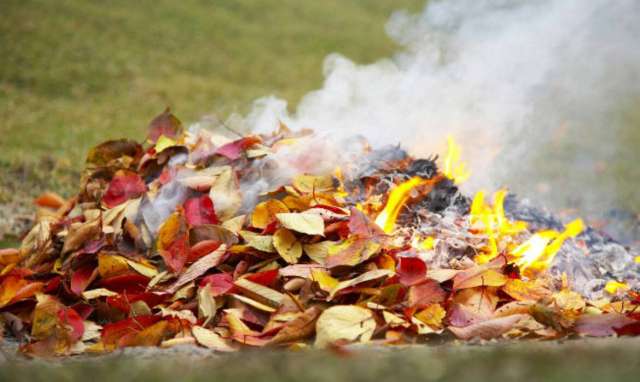 Мешканців області застерігають від спалювання опалого листя