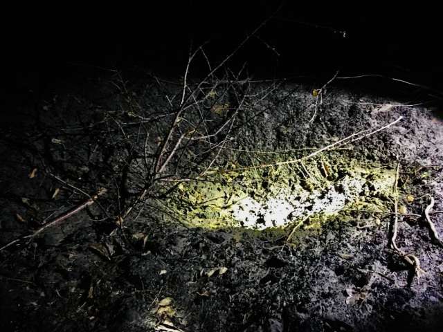 19:45. Повномасштабне воєнне вторгнення рф в Україну, 279 доба добігає кінця.