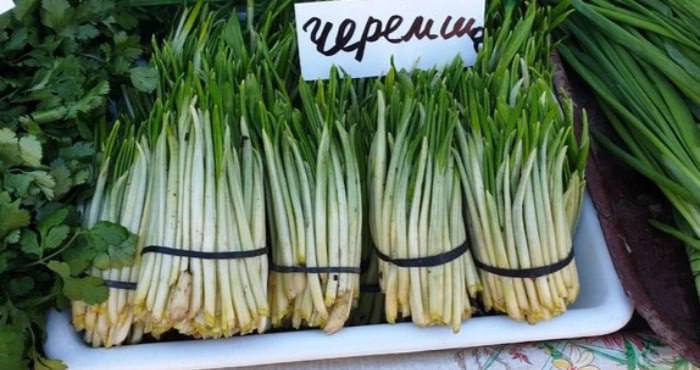 Українців можуть оштрафувати на тисячі гривень навіть за зірвану одну рослину з власного городу