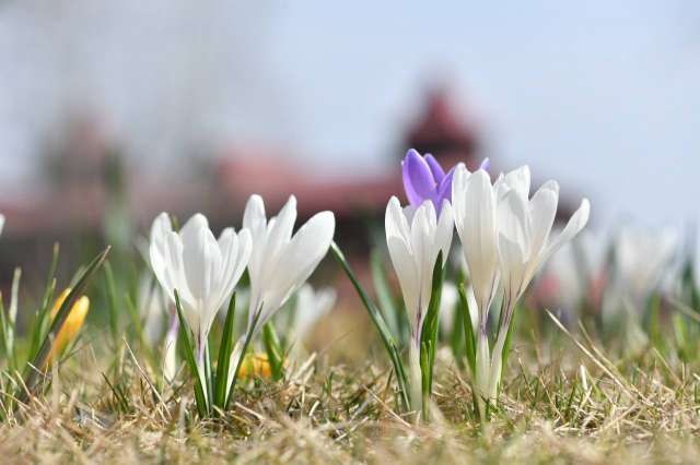 3.04.2023. Безпекова ситуація на Дніпропетровщині
