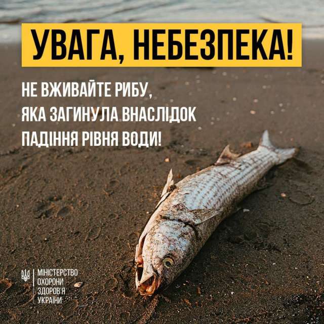 Не вживайте рибу, яка загинула внаслідок падіння рівня води