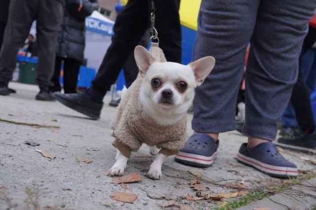 У Дніпрі триває ліквідація наслідків нічної атаки ворога.