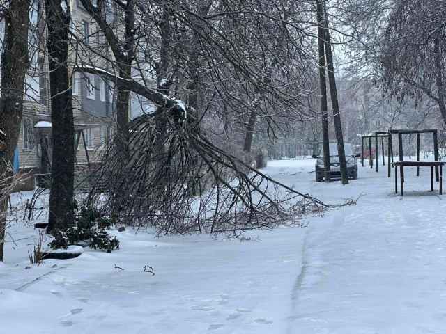 Шановна громадо!