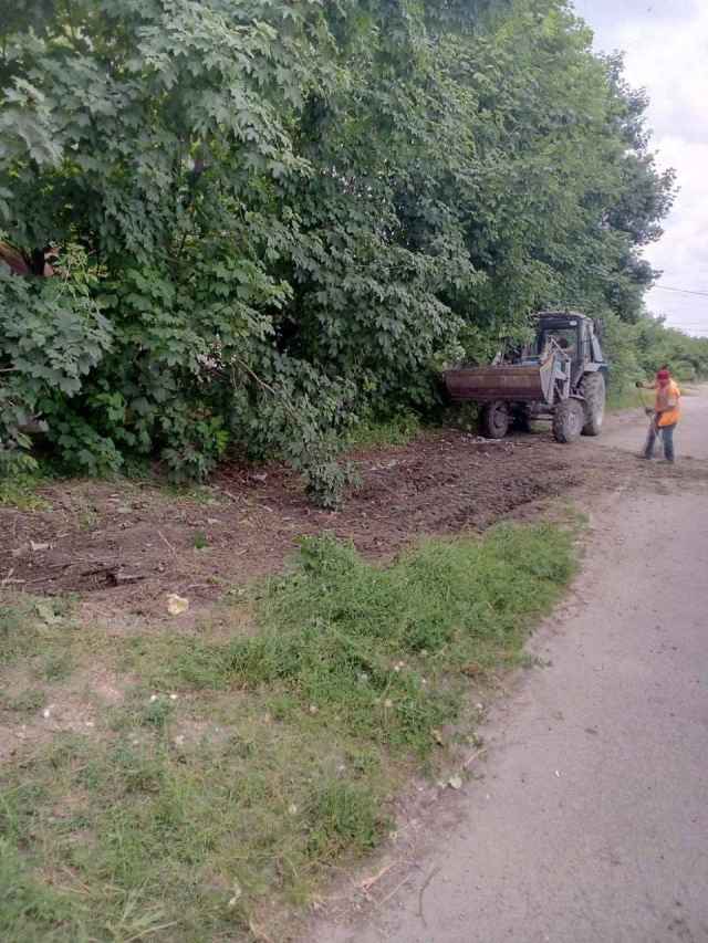 Стихійні звалища як з великогабаритних, так і з твердих побутових відходів.