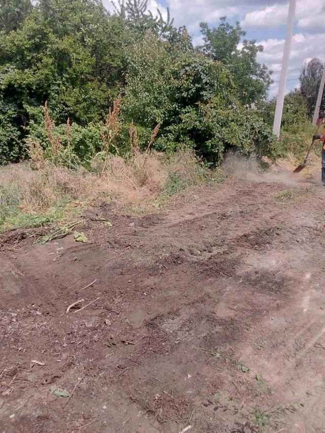 Стихійні звалища як з великогабаритних, так і з твердих побутових відходів.