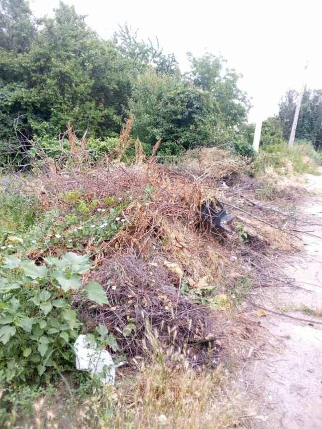 Стихійні звалища як з великогабаритних, так і з твердих побутових відходів.