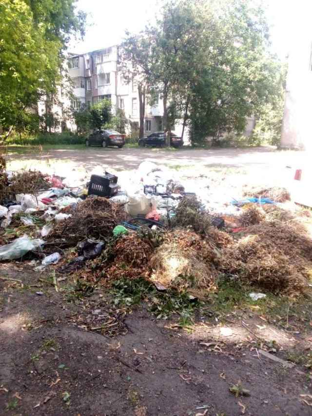 Стихійні звалища як з великогабаритних, так і з твердих побутових відходів.